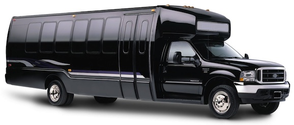 20 passenger party limo bus